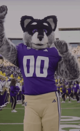 Mascot in Purple Jersey With 00