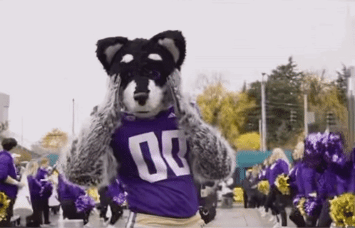 Mascot in Purple Shirt With Number 00