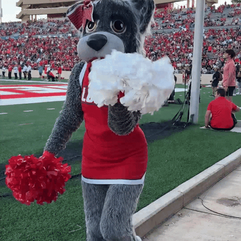 Mascot in Red and White Outfit Number 11