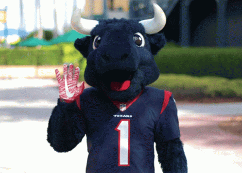 Mascot In Texans Jersey Number 1 GIF