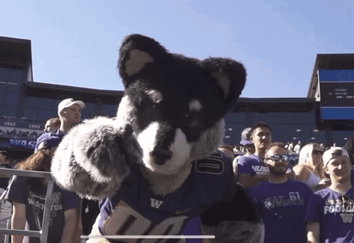 Mascot in Washington Football Shirt in Front of Crowd