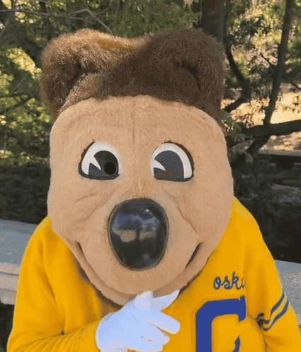 Mascot in Yellow Sweatshirt With Letter C