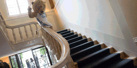 Mascot Lions Roaring Sliding Down GIF