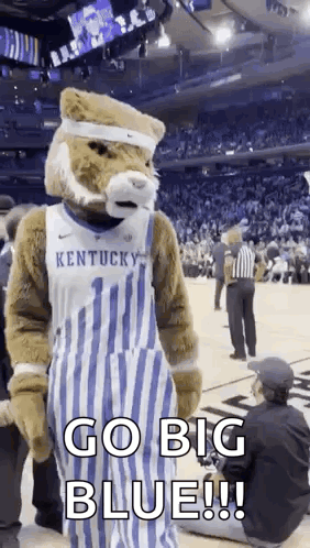 Mascot on Basketball Court Saying Go Big Blue
