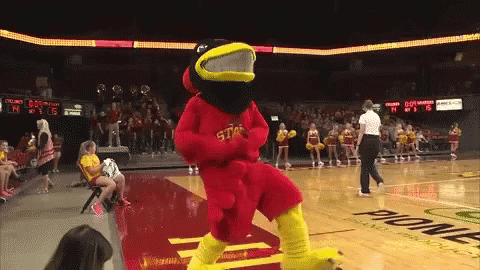 Mascot on Basketball Court Saying State