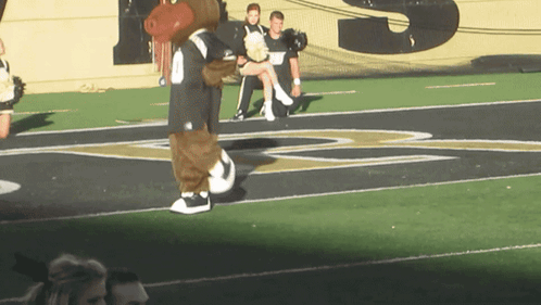 Mascot on Field With Letter S Behind