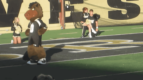 Mascot on Football Field With Number 0