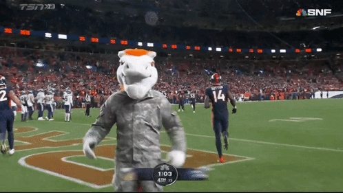 Mascot On Football Field With Player Number 14 GIF
