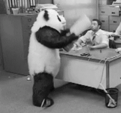 Mascot Panda Is Pissed Off GIF