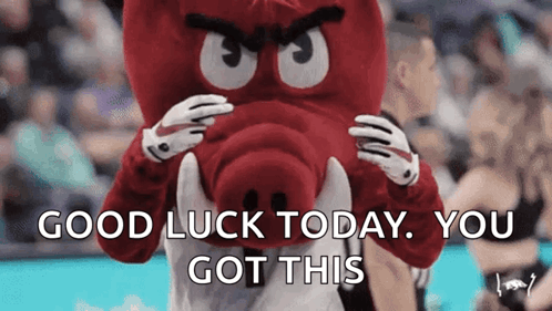 Mascot Saying Good Luck Today You Got This GIF