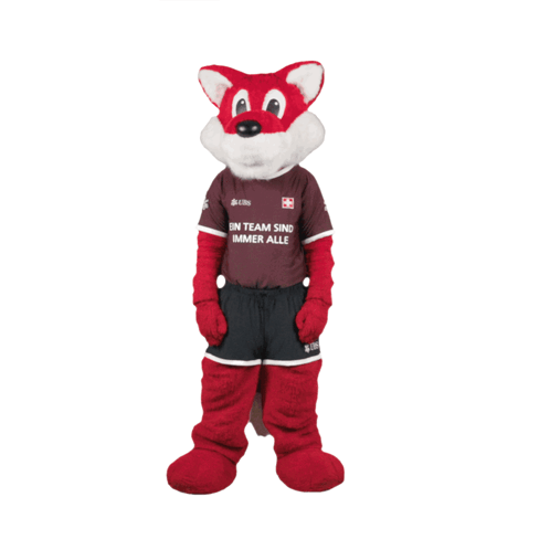 Mascot Shirt in team sind immer alle