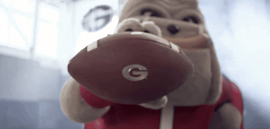 Mascot Showing Football With Dawgs Logo GIF