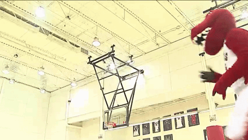 Mascot Standing In Front Of Basketball Hoop GIF