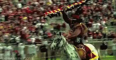 Mascot Standing in Front of Crowd Saying For the Win