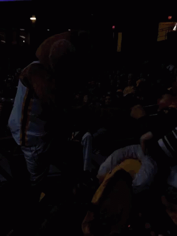 Mascot Standing in Stadium With Crowd