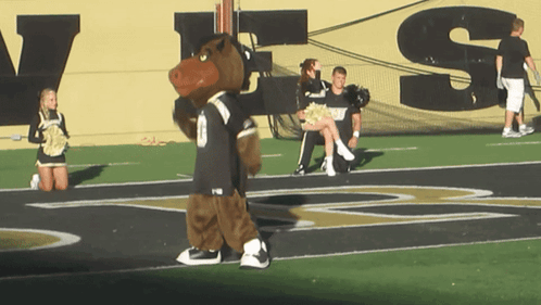 Mascot Walking on Football Field With Cheerleaders Says VS