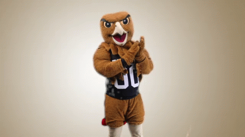 Mascot Wearing Black Jersey Number 30