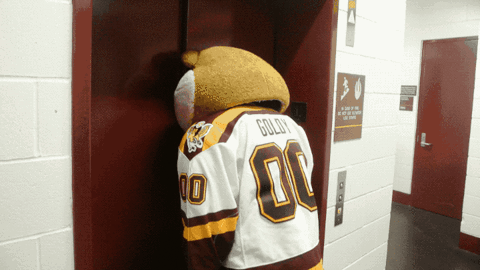 Mascot Wearing Goldy Jersey