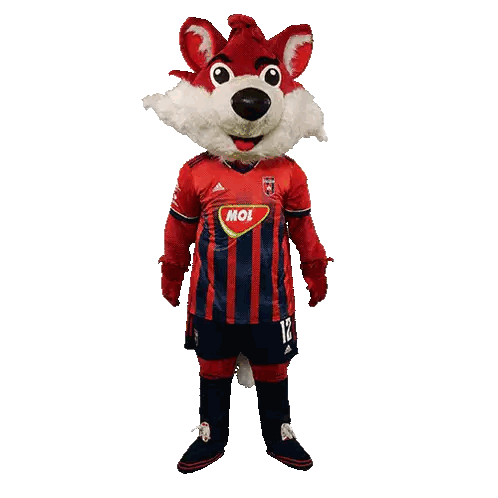 Mascot Wearing Mol Jersey