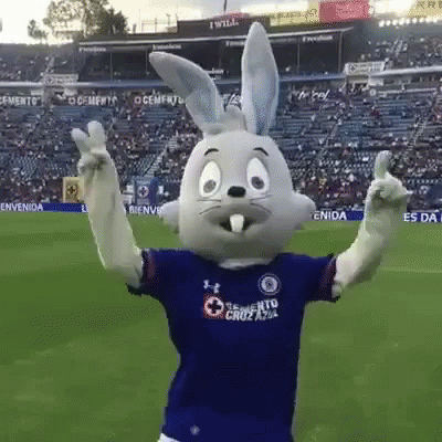 Mascot Wearing Toronto Cruz Azul Shirt