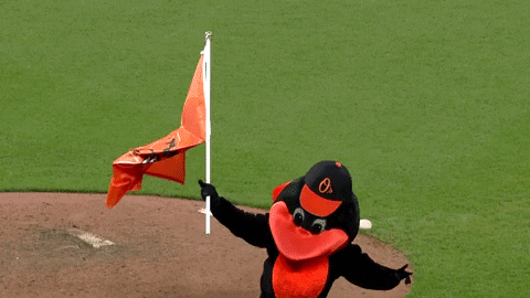 Mascot With Flag Orioles Win GIF