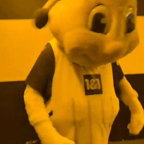 Mascot With Number 181 Shirt