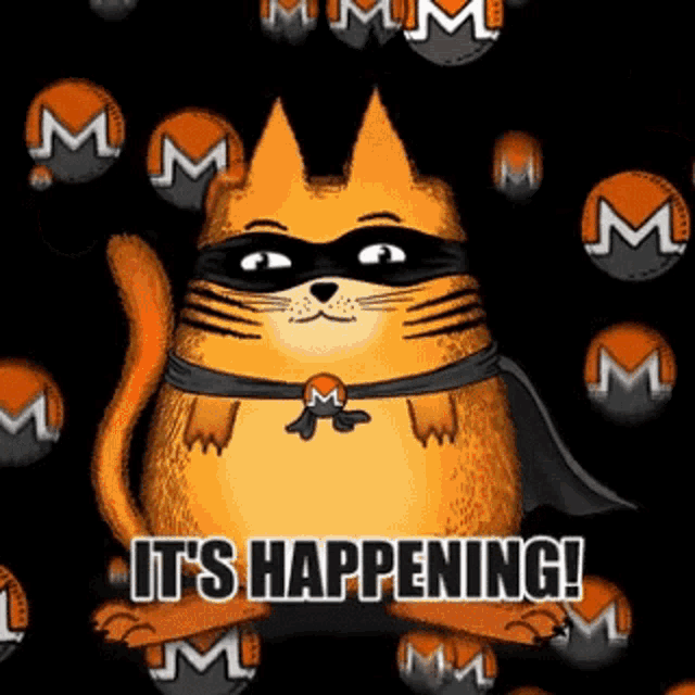 Masked Cat It's Happening GIF