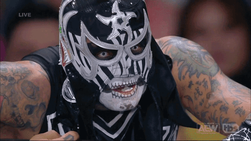 Masked Wrestler Body Mask Sign