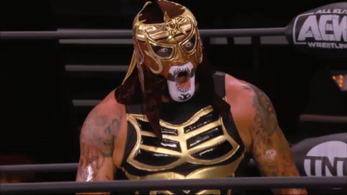 Masked Wrestler TNT Sign