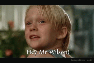 Mason Gamble Hey Mr Wilson Dennis The Menace GIF