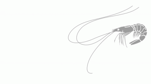 Mastai Shrimp Animation GIF