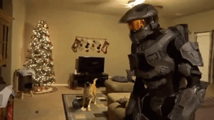 Master Chief Scared The Dog GIF