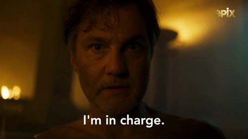 Master I'm In Charge GIF