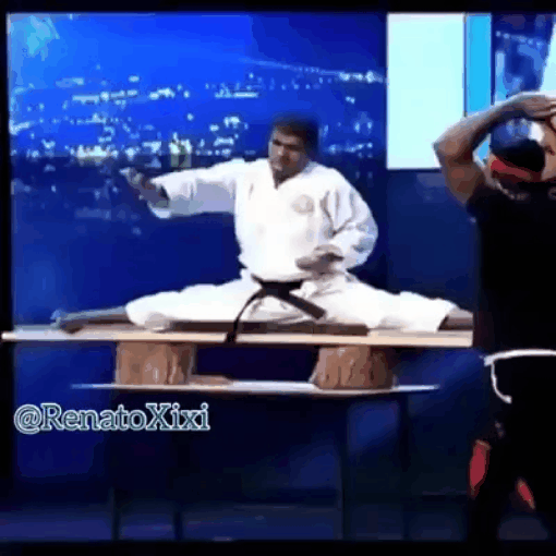 Master Martial Artist Fail GIF