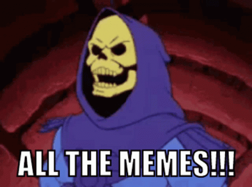 Master Of The Universe Skeletor All The Memes GIF