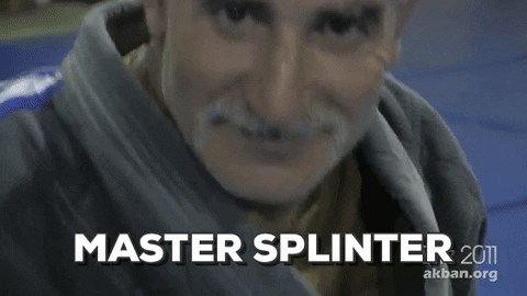 Master Splinter Akban Academy Ninjutsu GIF