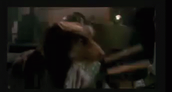 Master Splinter Tmnt Throwing Book Michelangelo GIF