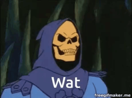 Masters of Universe Skeletor in Hood Says Wat
