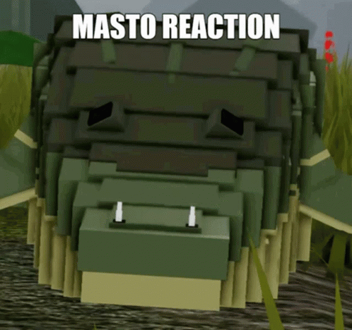 Masto Reaction Is Written On The Bottom Of A Picture Of A Turtle GIF