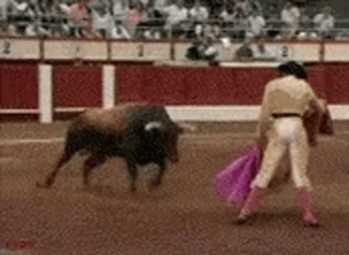 Matador Slaughtering Bull with Pink Cape