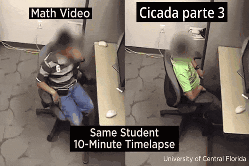 Math Video Cicada Part 3 Time Lapse GIF