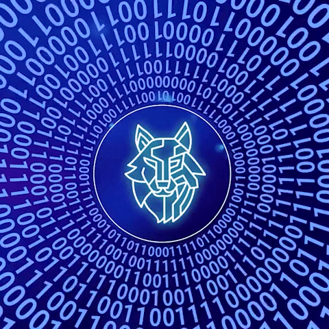 Matrix Code Crypto Fintech Wolf GIF