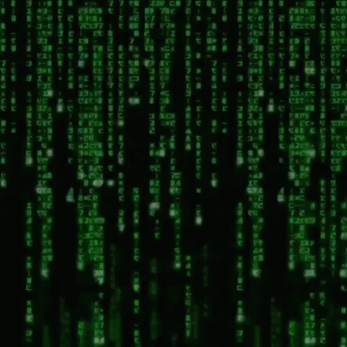 Matrix Code India Phyton GIF