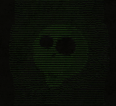 Matrix Code Internet Skeletal Virus GIF