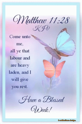 Matthew 11:28 Bible Verse With Butterflies