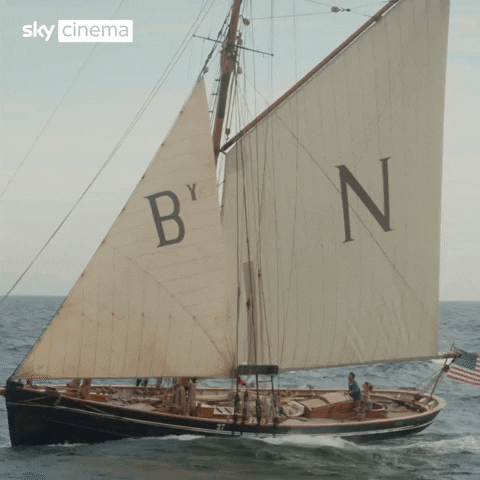 Matthew Daddario Sailing Boat GIF