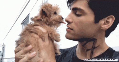 Matthew Daddario With Dog GIF
