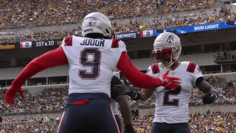 Matthew Judon Handshake Celebration GIF
