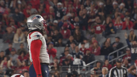 Matthew Judon Teammates Hearwarming Iconic Celebratory Moves GIF
