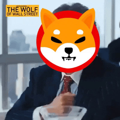 Matthew Mcconaughey Shiba Inu Wolf Of Wall Street GIF